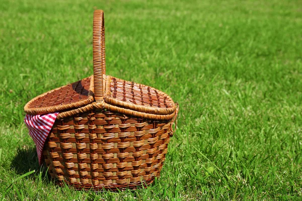 Panier Osier Sur Pelouse Verte Préparé Pour Pique Nique Dans — Photo