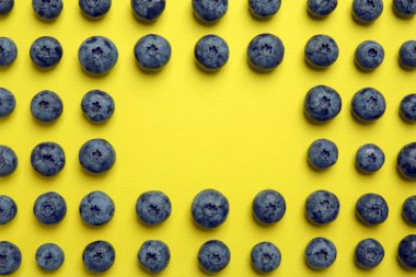Lezzetli blueberry ve renk arka plan üzerinde metin için yer düz yatıyordu kompozisyonu
