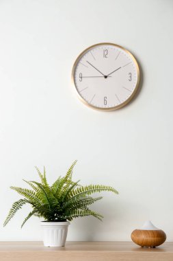 Modern aroma lamba ve houseplant ışık duvarının yakınında ahşap tablo