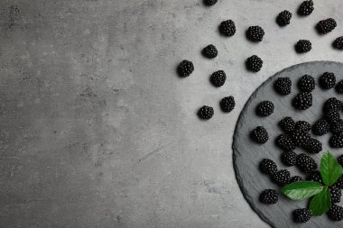 Taze böğürtlen ve gri arka plan üzerinde metin için yer düz yatıyordu kompozisyonu