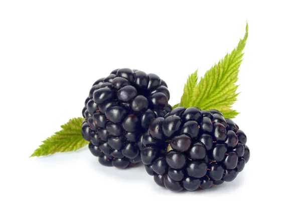 Fresh Ripe Juicy Blackberries White Background — Stock Photo, Image