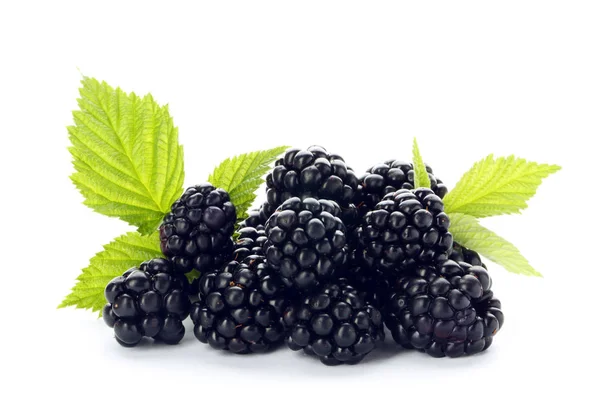 Fresh Ripe Juicy Blackberries White Background — Stock Photo, Image