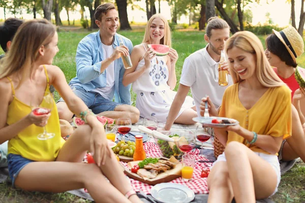 Boldog Barátok Piknik Parkban Napsütéses Napon — Stock Fotó