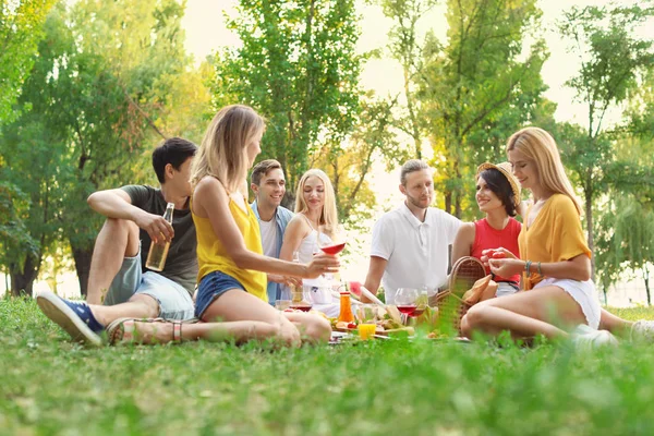 Щасливі Друзі Мають Пікнік Парку Сонячний День — стокове фото