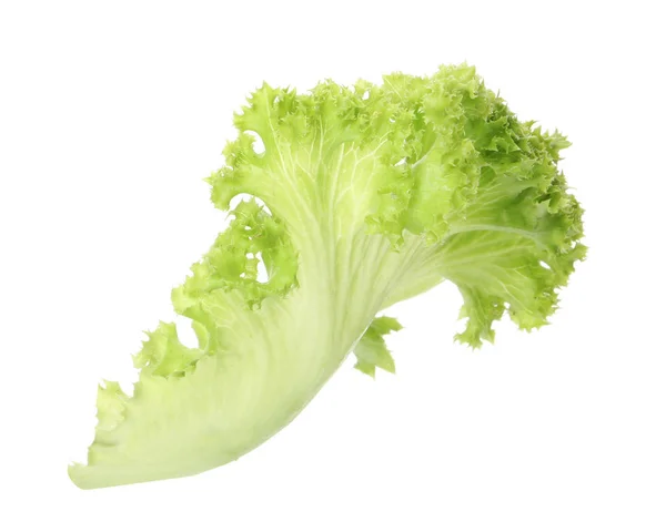 Fresh Green Lettuce Leaf White Background — Stock Photo, Image