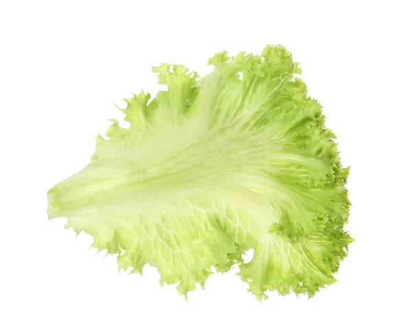 Friss Zöld Saláta Levél Fehér Háttér — Stock Fotó