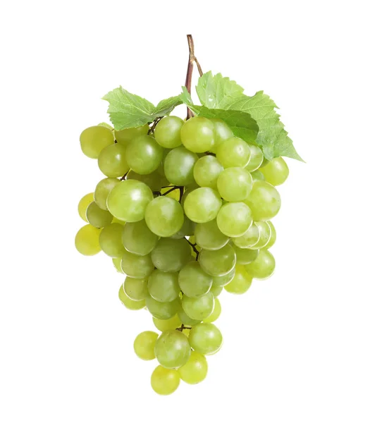 Bando Uvas Frescas Maduras Suculentas Sobre Fundo Branco — Fotografia de Stock