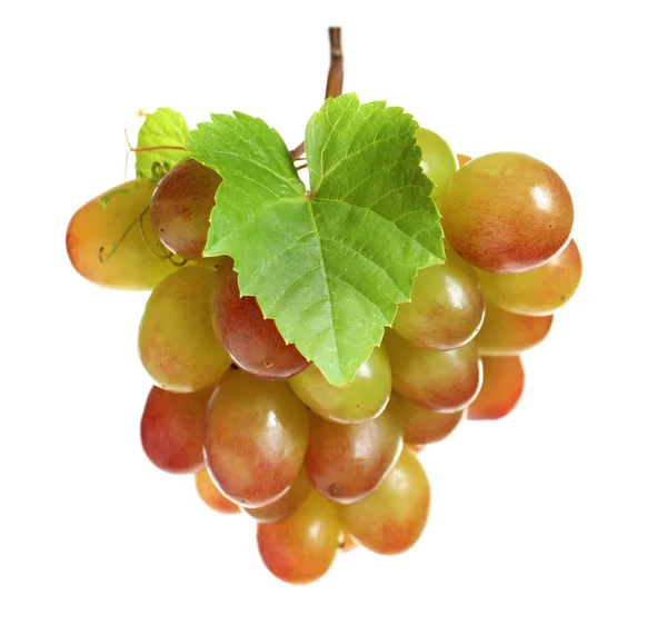 Bando Uvas Frescas Maduras Suculentas Sobre Fundo Branco — Fotografia de Stock