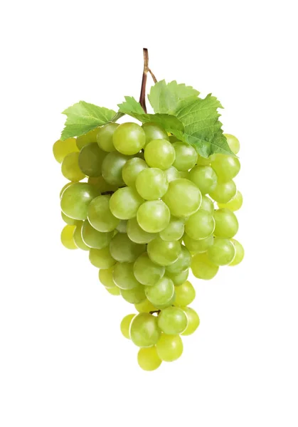Bos Van Verse Rijpe Sappige Druiven Witte Achtergrond — Stockfoto