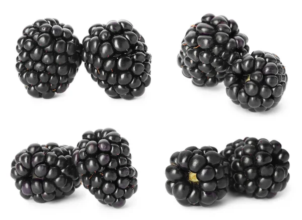 Set Fresh Tasty Blackberries White Background — Stock Photo, Image