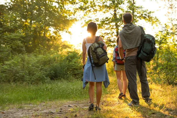 Young friends in forest on summer day. Camping season