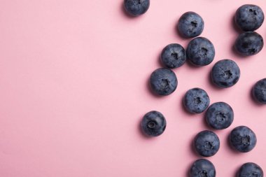 Lezzetli blueberry ve renk arka plan üzerinde metin için yer düz yatıyordu kompozisyonu