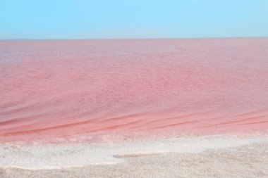 Yaz gününde pembe Gölü'nün güzel manzara