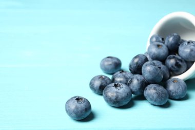 Renk tablosu üzerinde sulu ve taze yaban mersini. Metin için yer