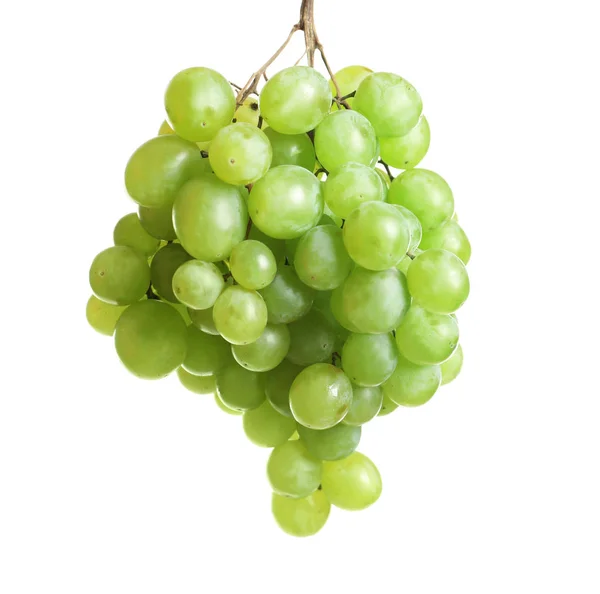 Bando Uvas Frescas Maduras Suculentas Sobre Fundo Branco — Fotografia de Stock