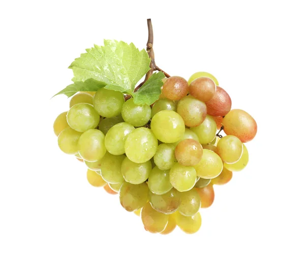 Bando Uvas Frescas Maduras Suculentas Sobre Fundo Branco — Fotografia de Stock