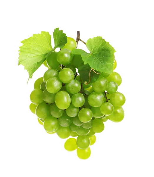 Ramo Uvas Jugosas Frescas Maduras Sobre Fondo Blanco —  Fotos de Stock