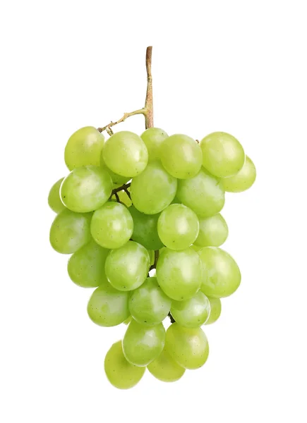 Uvas Frescas Maduras Suculentas Isoladas Branco — Fotografia de Stock