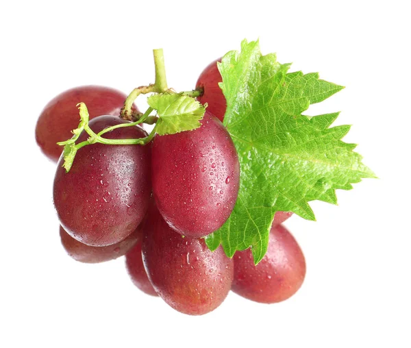 Fresh Ripe Juicy Grapes Isolated White — Stock Photo, Image