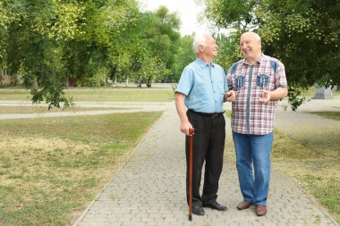 Harcama zaman yaşlı insanlar birlikte parkta