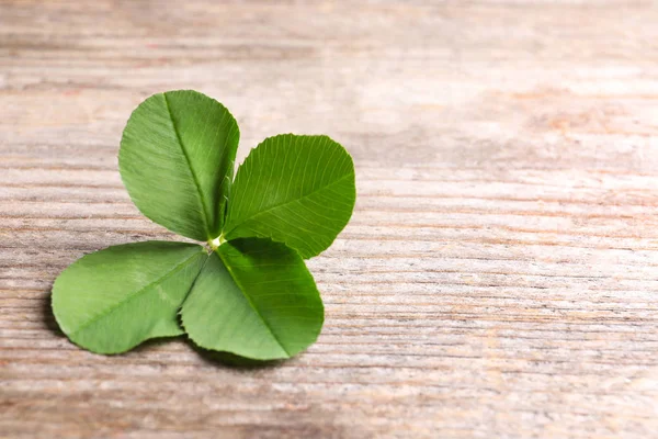 Trébol Verde Cuatro Hojas Sobre Fondo Madera Con Espacio Para — Foto de Stock