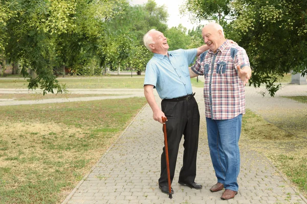 Idősek Kiadási Időt Együtt Parkban — Stock Fotó