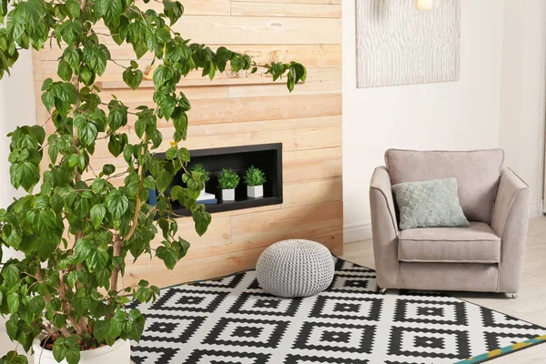 Stilvolles Interieur Mit Großer Zimmerpflanze Sessel Und Teppich — Stockfoto
