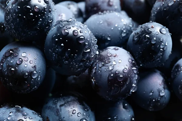 Bouquet Raisins Frais Juteux Mûrs Comme Fond Vue Rapprochée — Photo