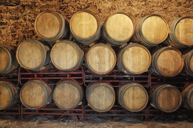 Şarap mahzeni iç büyük ahşap varil ile