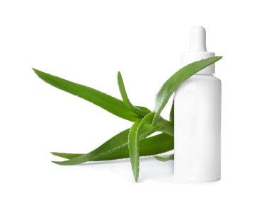 Beyaz arka plan üzerinde şişe ile aloe vera özü ve taze yaprakları