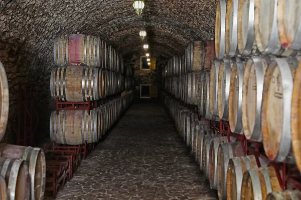 Intérieur Cave Vin Avec Grands Tonneaux Bois — Photo