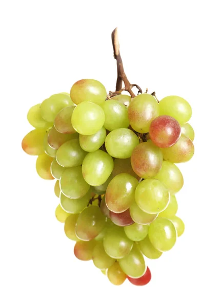 Bando Uvas Frescas Maduras Suculentas Sobre Fundo Branco — Fotografia de Stock