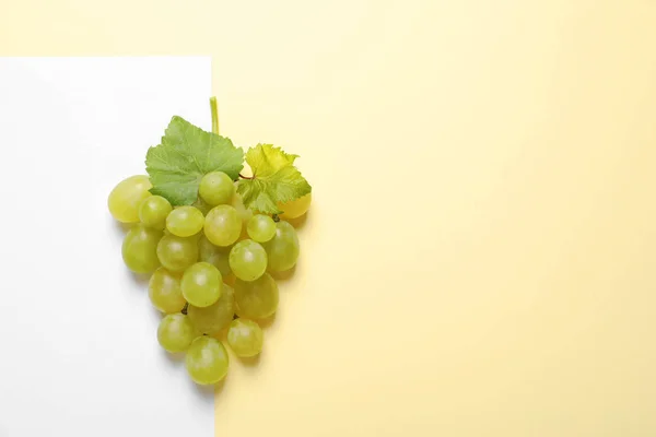 Rijpe Sappige Druiven Kleur Achtergrond Bovenaanzicht Ruimte Voor Tekst — Stockfoto