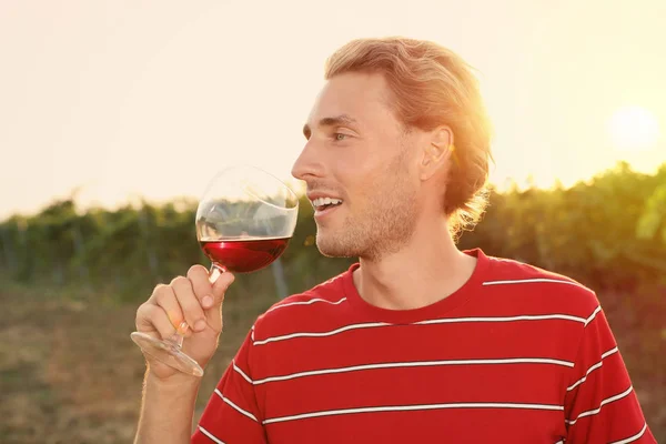 Jeune Homme Beau Dégustant Vin Vignoble Par Une Journée Ensoleillée — Photo