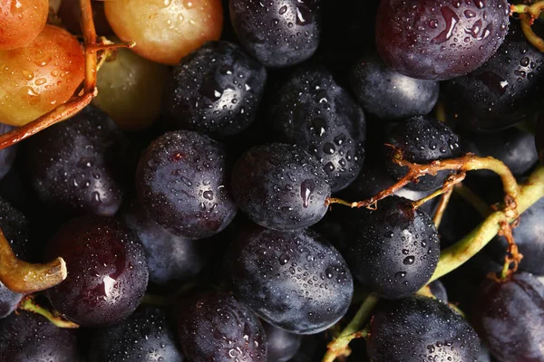 Fresh Ripe Juicy Grapes Background Closeup — Stock Photo, Image