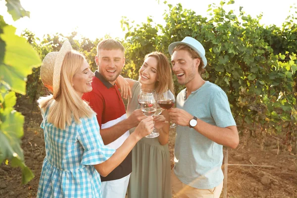 Vrienden Drinken Van Wijn Plezier Wijngaard — Stockfoto