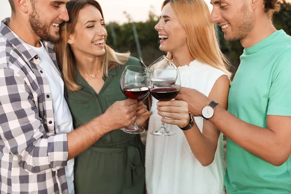 Amigos Segurando Copos Vinho Divertindo Piquenique Vinha — Fotografia de Stock