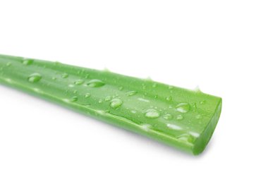 beyaz zemin üzerinde aloe vera yaprağı