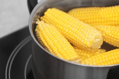 Ocakta, tatlı su ve Mısır koçanı ile tenceresi