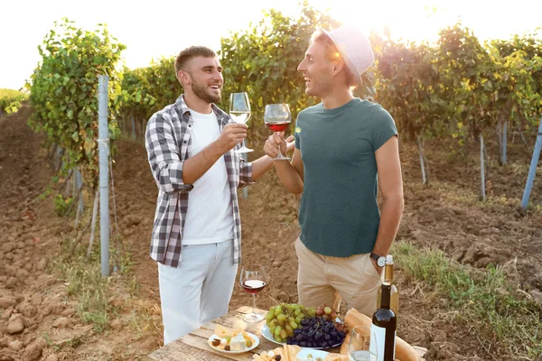 Vrienden Proeven Van Wijn Plezier Wijngaard Picknick — Stockfoto