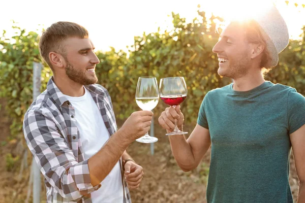 Друзі Дегустують Вино Розважаються Виноградниках — стокове фото