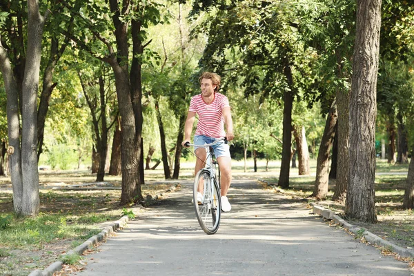 Красивий Чоловік Їде Велосипеді Парку Сонячний День — стокове фото