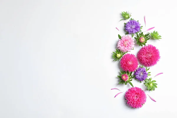Mooie Aster Bloemen Witte Achtergrond Bovenaanzicht Ruimte Voor Tekst — Stockfoto