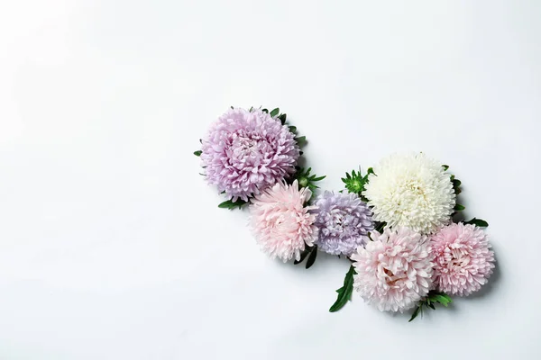 Mooie Aster Bloemen Witte Achtergrond Bovenaanzicht Ruimte Voor Tekst — Stockfoto