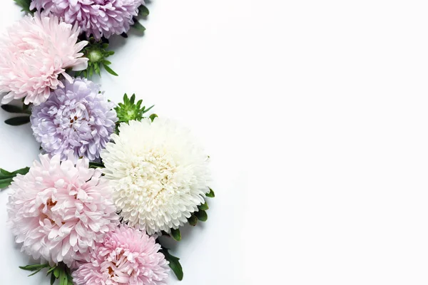 Gyönyörű Aster Virágok Fehér Háttér Felülnézet Hely Szöveg — Stock Fotó