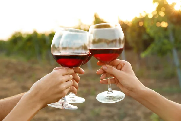 Friends Holding Glasses Wine Vineyard Picnic — Stock Photo, Image