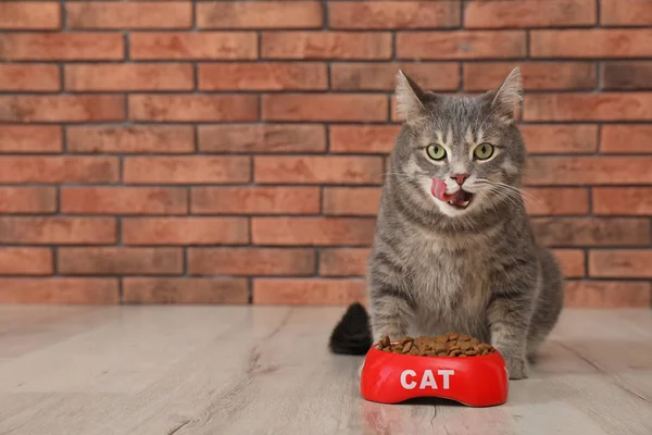 Adorable cat near bowl of food indoors. Pet care