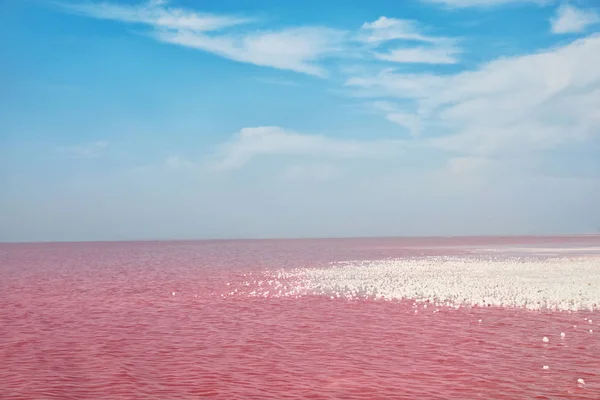 夏の日にピンクの湖の美しい景色 — ストック写真