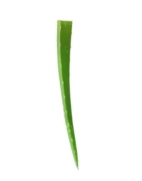 Aloe Vera Blatt Auf Weißem Hintergrund — Stockfoto