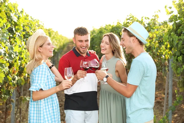 Vrienden Proeven Van Wijn Plezier Wijngaard Picknick — Stockfoto